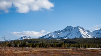 Snow-covered jagged peaks of Idaho's Sawtooth Range rise behind a dark evergreen forest and an open rust-colored winter meadow, under a bright blue sky with scattered white clouds.